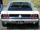 Mustangs in Iceland