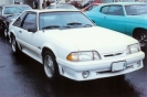 Mustangs in Iceland