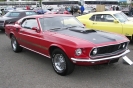 Mustangs in Iceland