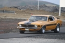 Mustangs in Iceland