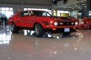 Mustangs in Iceland