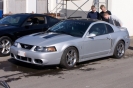 Mustangs in Iceland
