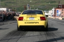 Mustangs in Iceland