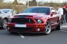 Mustangs in Iceland