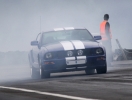 Mustangs in Iceland