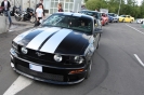 Mustangs in Iceland