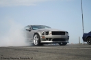 Mustangs in Iceland
