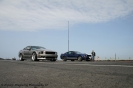 Mustangs in Iceland