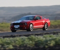 Mustangs in Iceland
