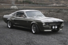 Mustangs in Iceland