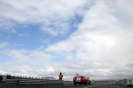 Mustangs in Iceland