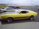 Mustang_1