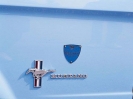 1966 Mustang 