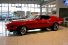 Mustang show 17.04.2010