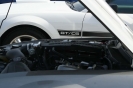 Muscle Car day