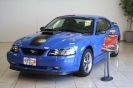 Mustang syning 17-04-2010