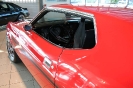 Mustang syning 17-04-2010