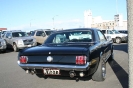 Mustang syning 17-04-2010
