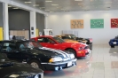 Mustang syning 17-04-2010