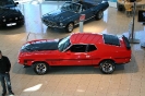Mustang syning 17-04-2010
