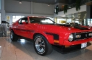 Mustang syning 17-04-2010