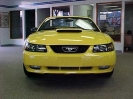 2001 Mustang