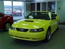 2001 Mustang