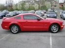 2006 Mustang