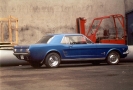 1965 - 1966